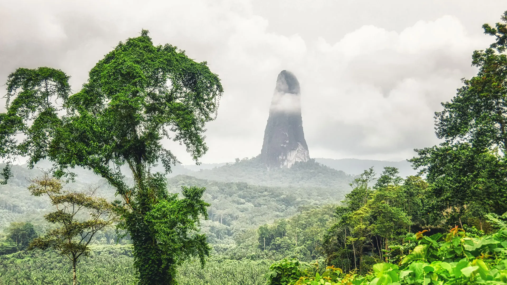 Cao Grande Mountain Sao Tome