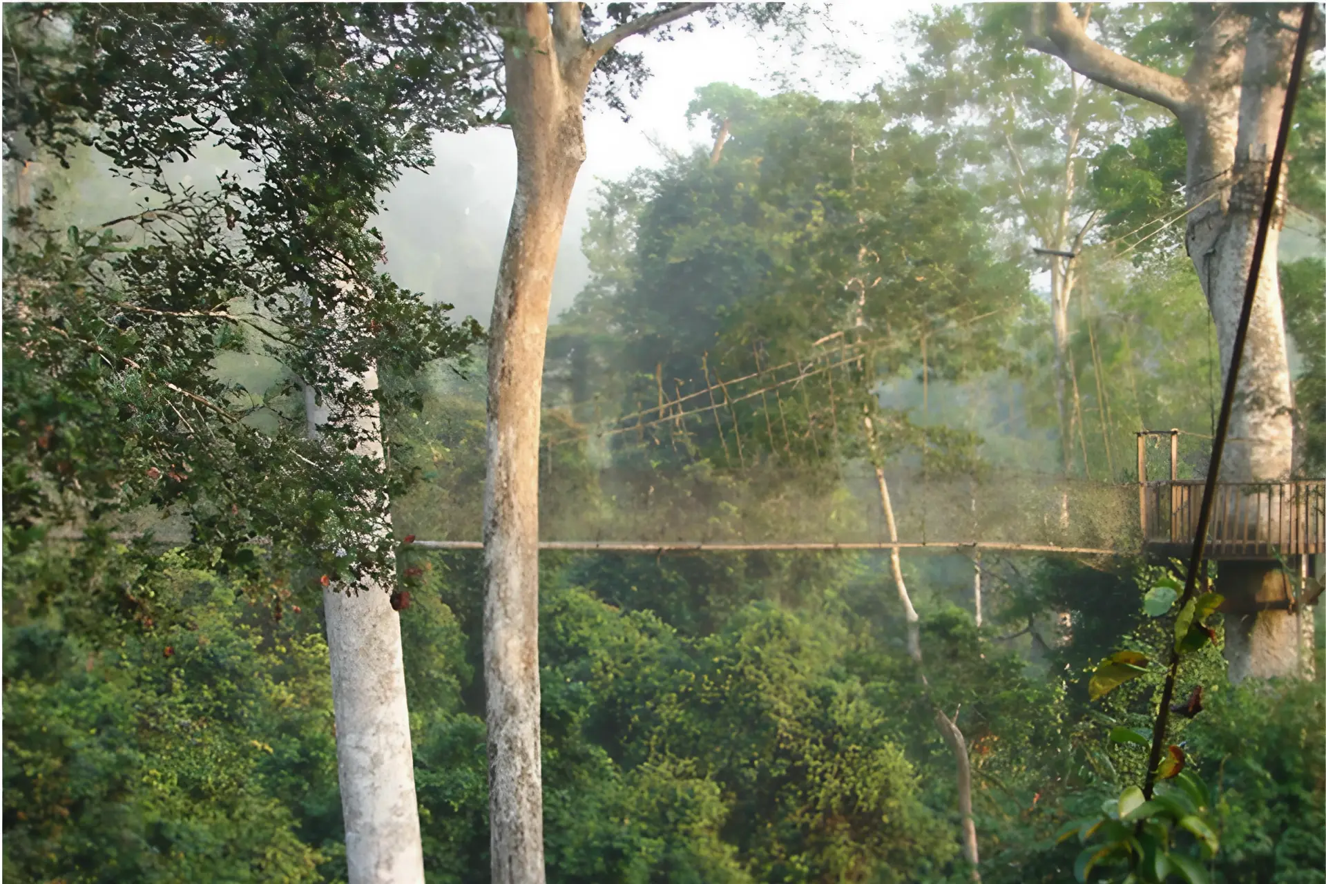 Kakum Canopy Walkway